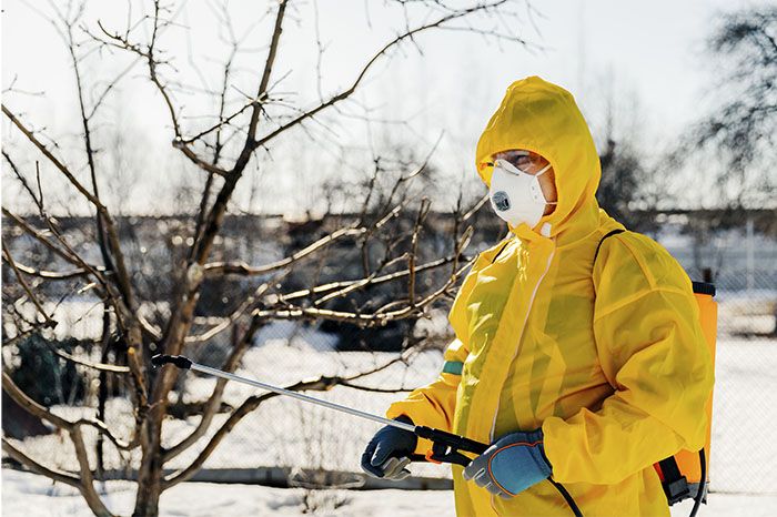 Winter Pest Control: Protect Your Home and Peace of Mind This Season